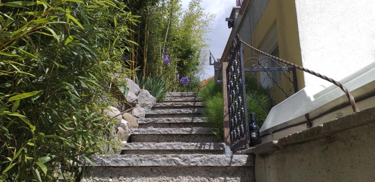 Ferienwohnung Wiesmühlstrasse Henndorf am Wallersee Exterior foto