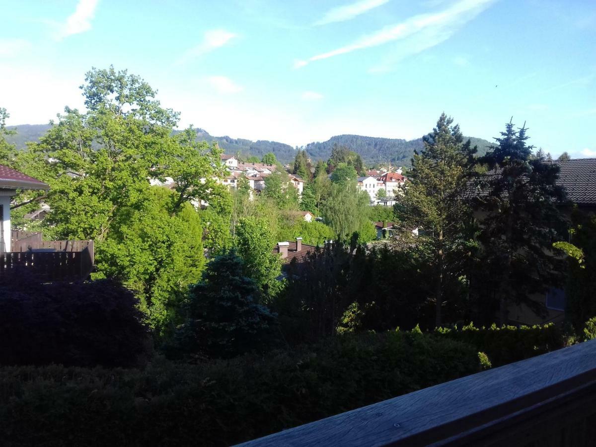 Ferienwohnung Wiesmühlstrasse Henndorf am Wallersee Exterior foto